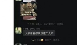 吃瓜网曹县7.29,吃瓜网带你回顾吃瓜盛宴