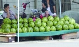 吃瓜公司南京,吃瓜公司背后的故事与影响