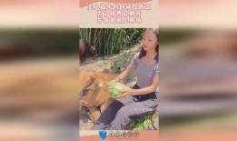 放牛吃瓜,田园牧歌中的闲适生活画卷