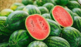 二瓜吃瓜吃到自己,意外成为瓜中瓜王