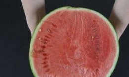 烧伤可以吃冰吃瓜吗,冰与瓜果的适宜摄入