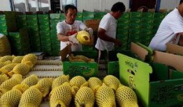 山南吃瓜网,揭秘娱乐圈最新热点，带你畅游八卦海洋