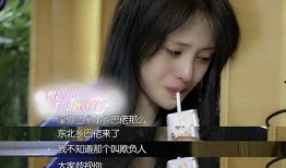 旋风孝子郑爽吃瓜,揭秘明星家庭背后的真实故事