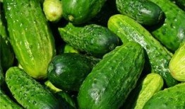 梦见别人送瓜给我吃瓜,揭秘瓜赠梦境的寓意与象征