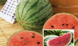 喜欢吃瓜打球,揭秘美食与运动的完美融合