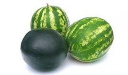 吃999个西瓜的瓜,一场味蕾与心灵的盛宴