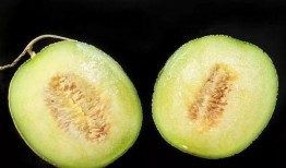 吃瓜为啥辣嗓子,揭秘夏日消暑美食背后的“辣嗓”之谜