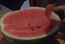 沙头公园吃瓜,夏日休闲好去处