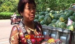 泊头吃瓜群众新闻,最新新闻事件深度解析