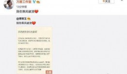 小顾吃瓜,揭秘娱乐圈那些不为人知的幕后故事