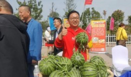 夏邑吃瓜事件始末,一场网络舆论的风波与反思