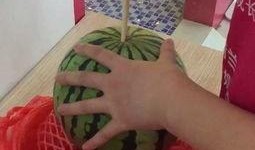 熙瓜吃西瓜,夏日消暑美食之旅