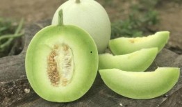 今日吃瓜在线吃瓜入口,在线吃瓜入口，揭秘娱乐圈幕后风云