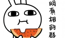 吃瓜大白小说18,揭秘18岁青春的甜蜜与苦涩