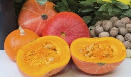 2022吃内脏的瓜,揭秘内脏美食背后的故事与争议