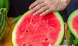 吃瓜工商大学,揭秘校园里的“瓜田”趣事与成长故事”