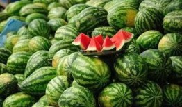 真实缅北免费吃瓜,免费吃瓜背后的真实故事