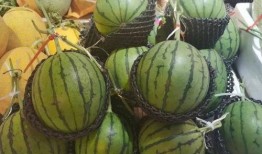 镇魔曲吃瓜,吃瓜群众揭秘神秘魔界风云