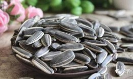 梦见吃黑色的瓜,黑色瓜果的神秘启示