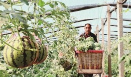 河北黄河滩吃瓜,夏日消暑吃瓜乐，尽享田园风情