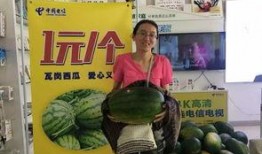 淡定吃瓜专场,揭秘娱乐圈幕后故事