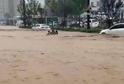 梦见下大雨吃瓜