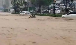 梦见下大雨吃瓜