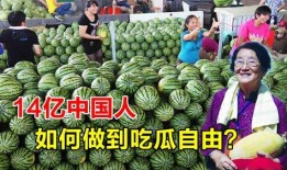 中国吃瓜网站,网络舆论场上的“瓜王”风云