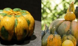 吃瓜宋宋,揭秘娱乐圈背后的那些事儿