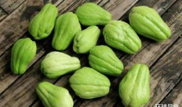 天天吃瓜图片,跟随“天天吃瓜”图片，探寻生活百态