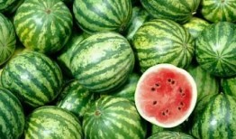 深圳沙井疫情吃瓜,吃瓜群众视角下的社区防疫众生相