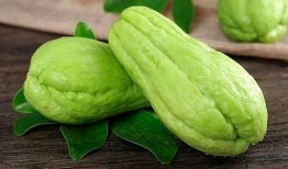 刺角瓜做菜吃,创意烹饪新体验