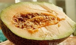 经期可以吃哈密瓜