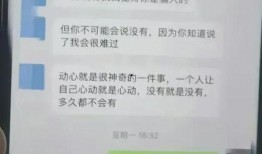 吃瓜记录表,揭秘娱乐圈那些事儿