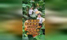 巨人吃哪个瓜,探寻神秘果实的奥秘