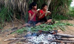 独自美丽吃瓜,揭秘娱乐圈背后的故事