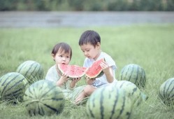 喜欢吃瓜打球,揭秘美食与运动的完美融合