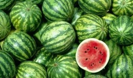 安徽多金集团吃瓜,揭秘背后的“吃瓜”故事与商业传奇