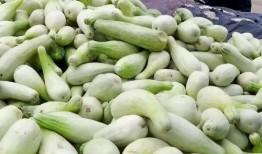 老板瓜怎么吃,解锁美味新体验