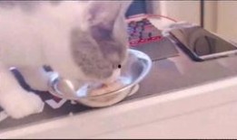 泉州主播吃瓜,趣味横生引网友热议