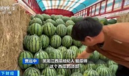 花琉璃轶闻吃瓜大妈,揭秘吃瓜大妈的八卦传奇