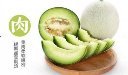 可爱的小瓜怎么吃,探索可爱小瓜的吃法世界