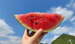 夏天吃瓜好时节,瓜果飘香——夏季吃瓜指南