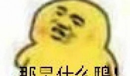 专用吃瓜表情包,揭秘专用吃瓜表情包的火爆之谜