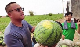 吃瓜炸裂图片高清,视觉盛宴背后的故事