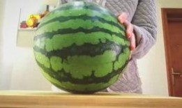 喜欢吃瓜打球,揭秘美食与运动的完美融合