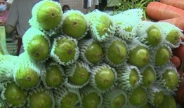 葫芦瓜可以隔夜吃么,葫芦瓜隔夜食用安全指南