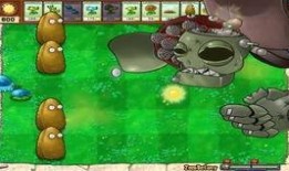 奶咪僵尸吃瓜,揭秘网络红人的幕后生活