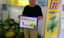 淡定吃瓜专场,揭秘娱乐圈幕后故事