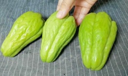 吃佛手瓜危害,佛手瓜食用不当的危害揭秘